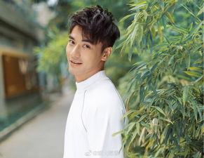 吃瓜娱乐圈cp粉,揭秘明星情侣背后的故事  第2张